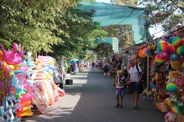 На рынке в центре Грибовки